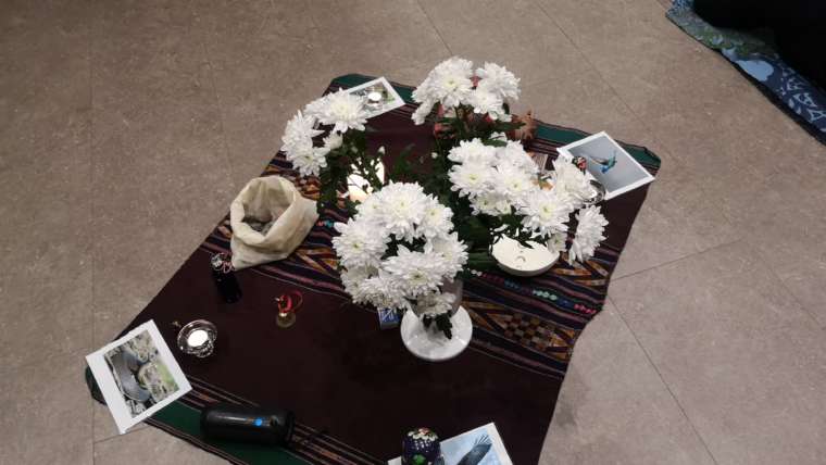 Introducere în Calea Păstrătorilor Pământului, Pitesti